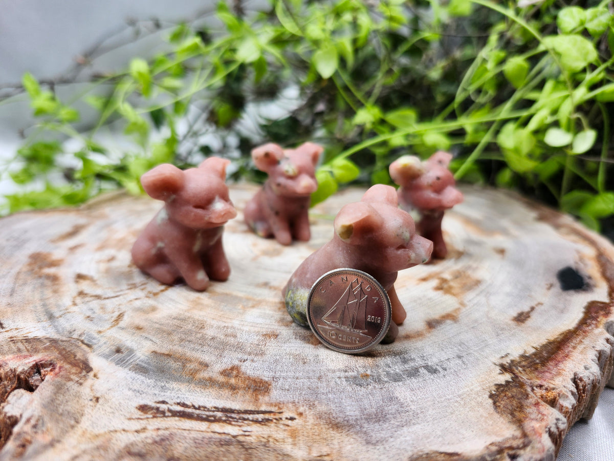 RED AVENTURINE PIG