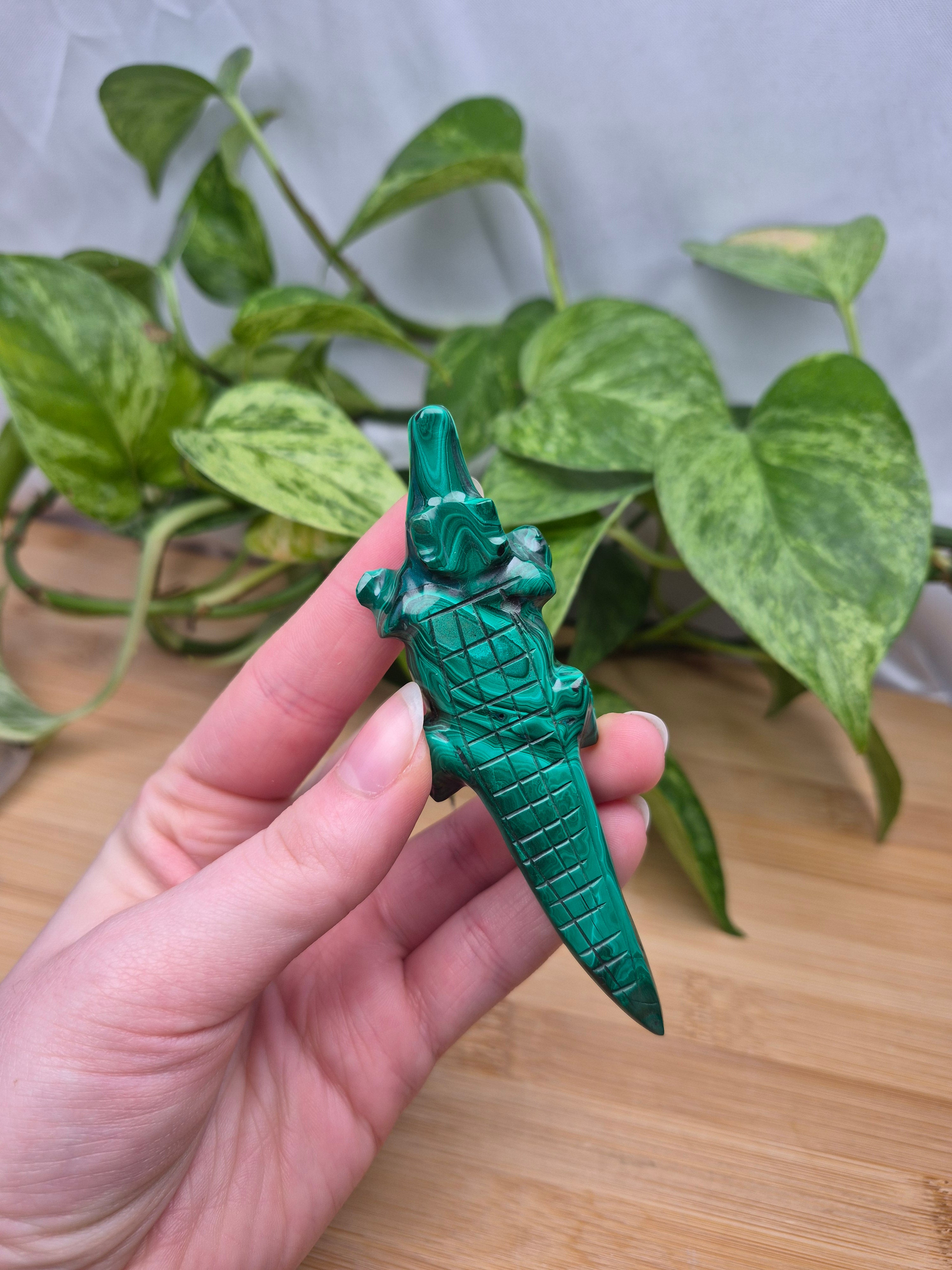 MALACHITE CROCODILE