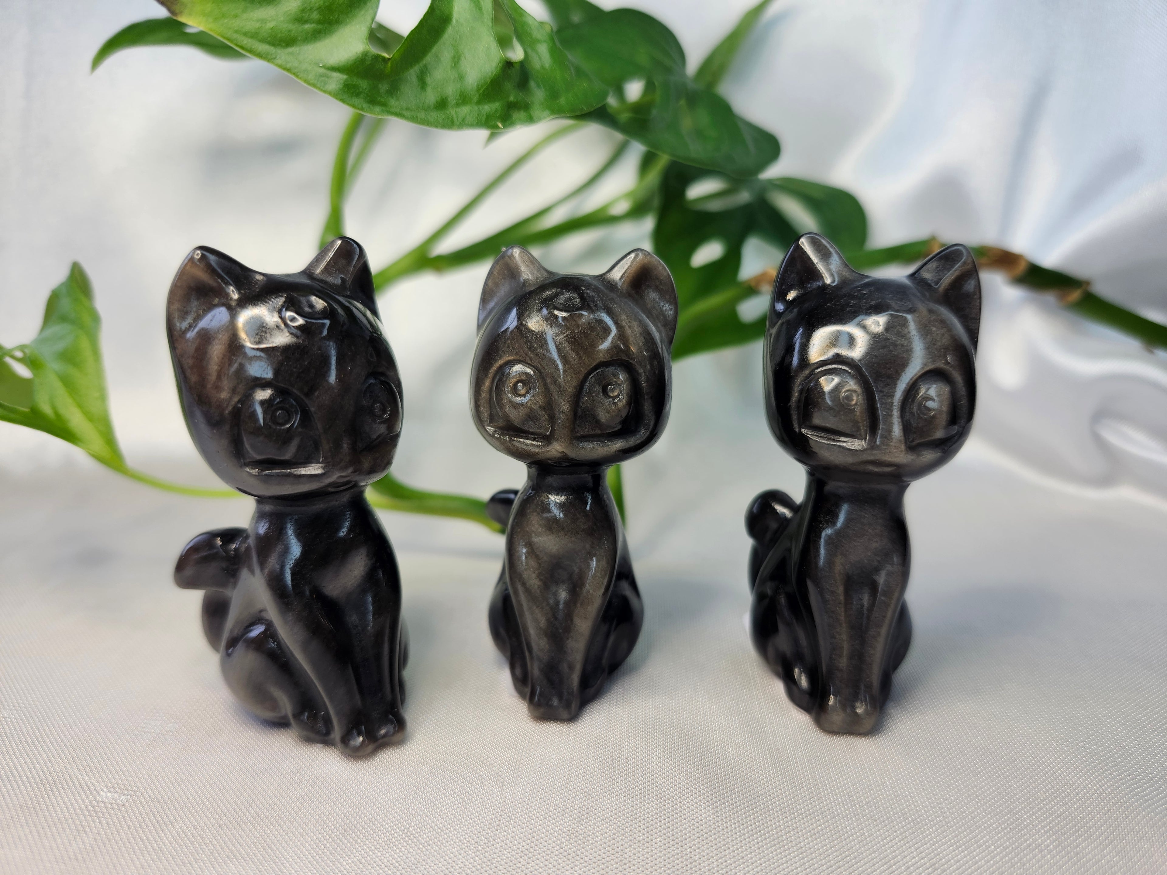 SHEEN OBSIDIAN LUNA LG