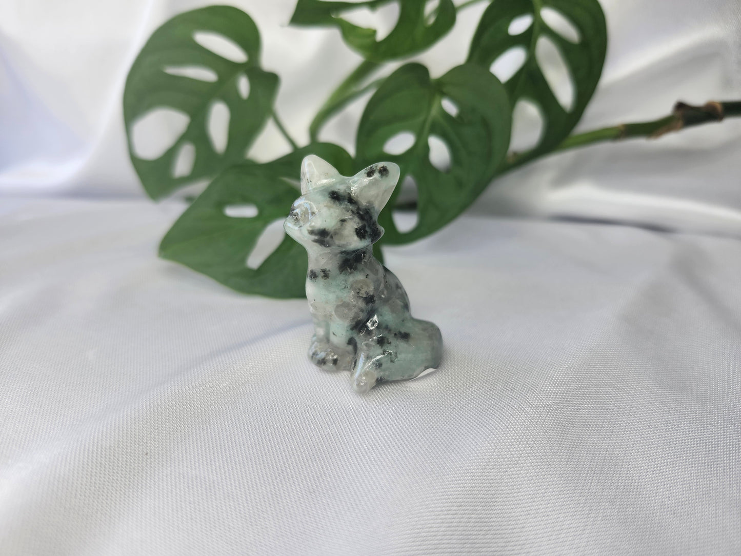 KIWI JASPER FOX