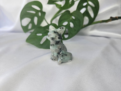 KIWI JASPER FOX