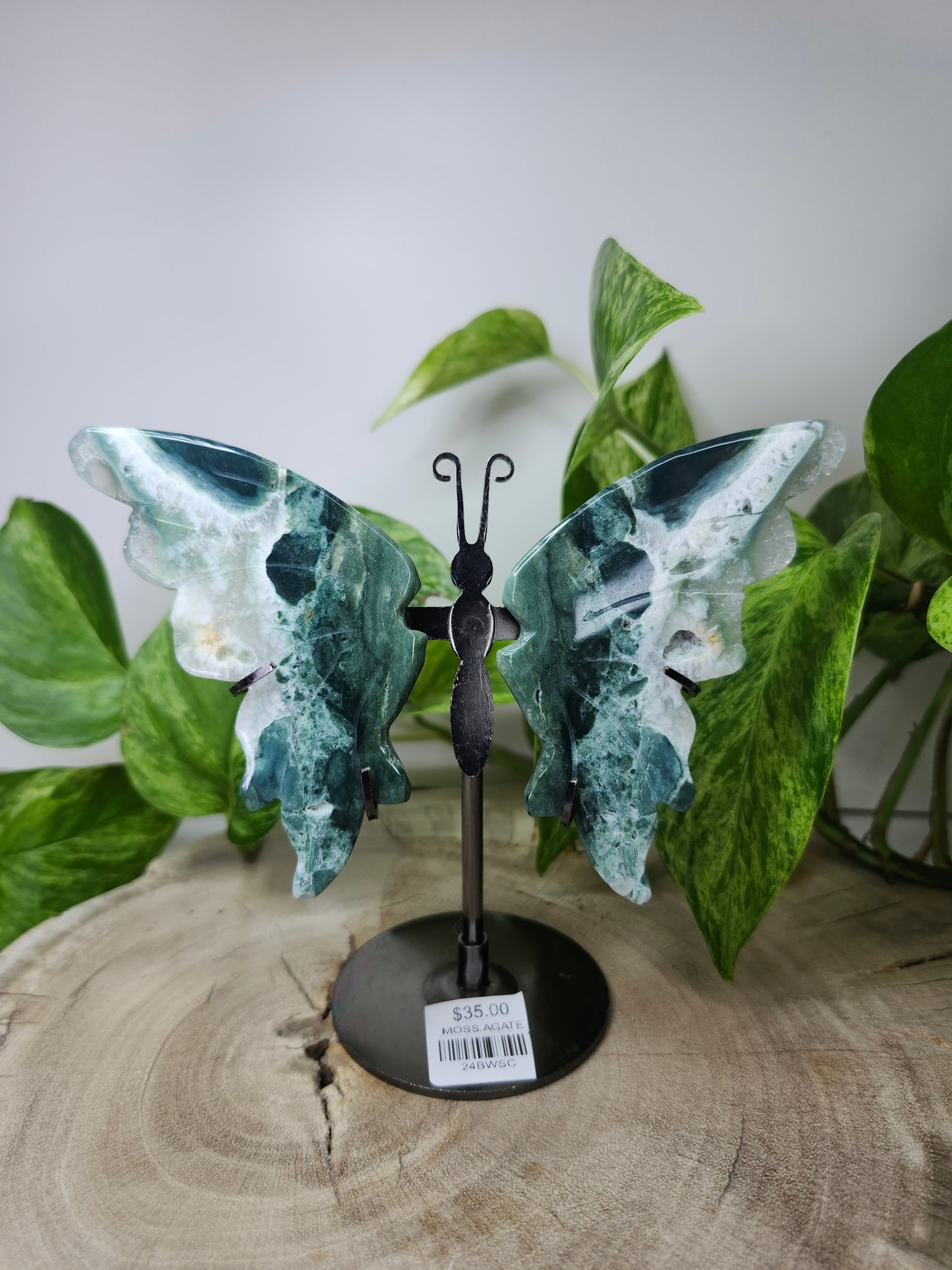 MOSS AGATE BUTTERFLY WINGS