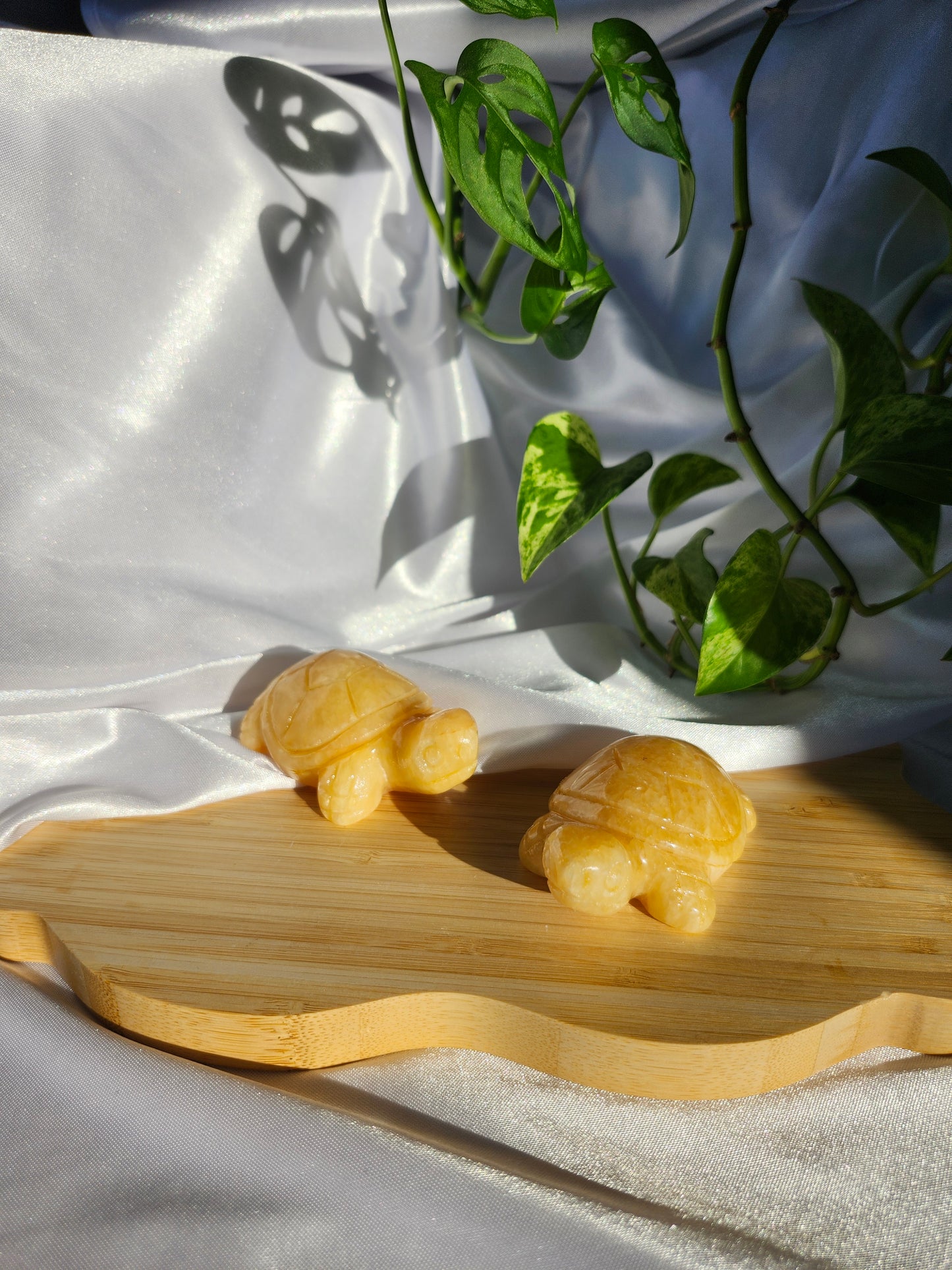 ORANGE CALCITE TURTLE