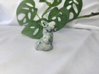 KIWI JASPER FOX