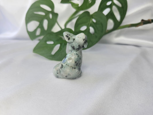 KIWI JASPER FOX