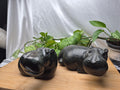 SOAPSTONE HIPPO