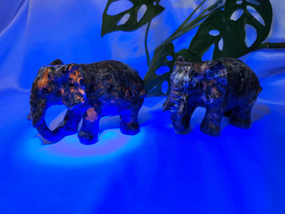 YOOPERLITE ELEPHANT