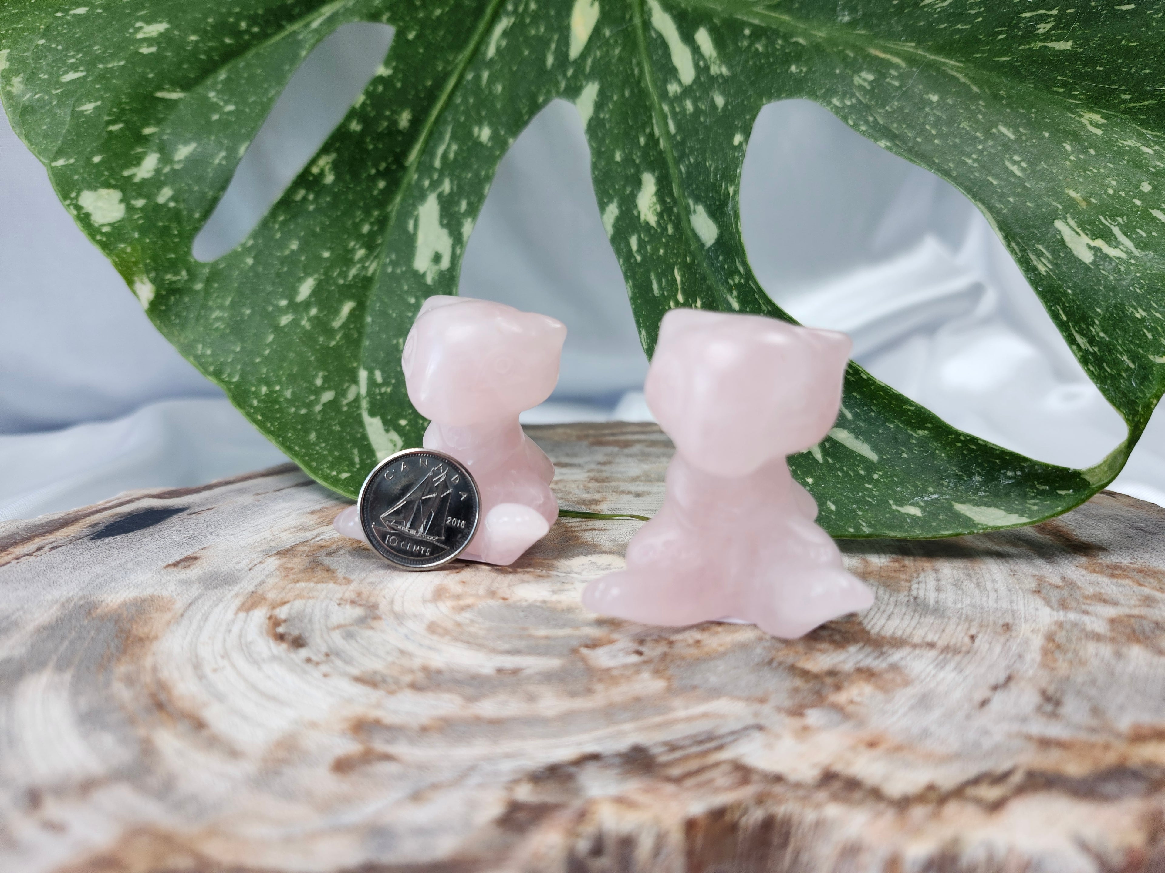 ROSE QUARTZ MEW