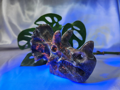 YOOPERLITE TRICERATOPS