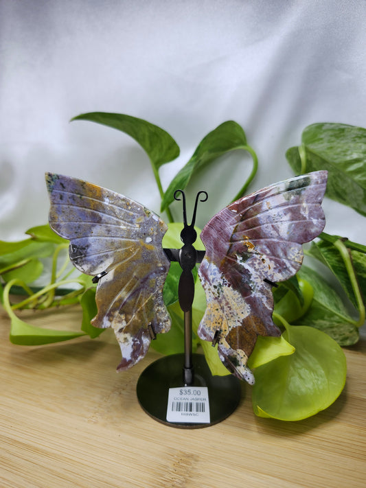 OCEAN JASPER BUTTERFLY WINGS