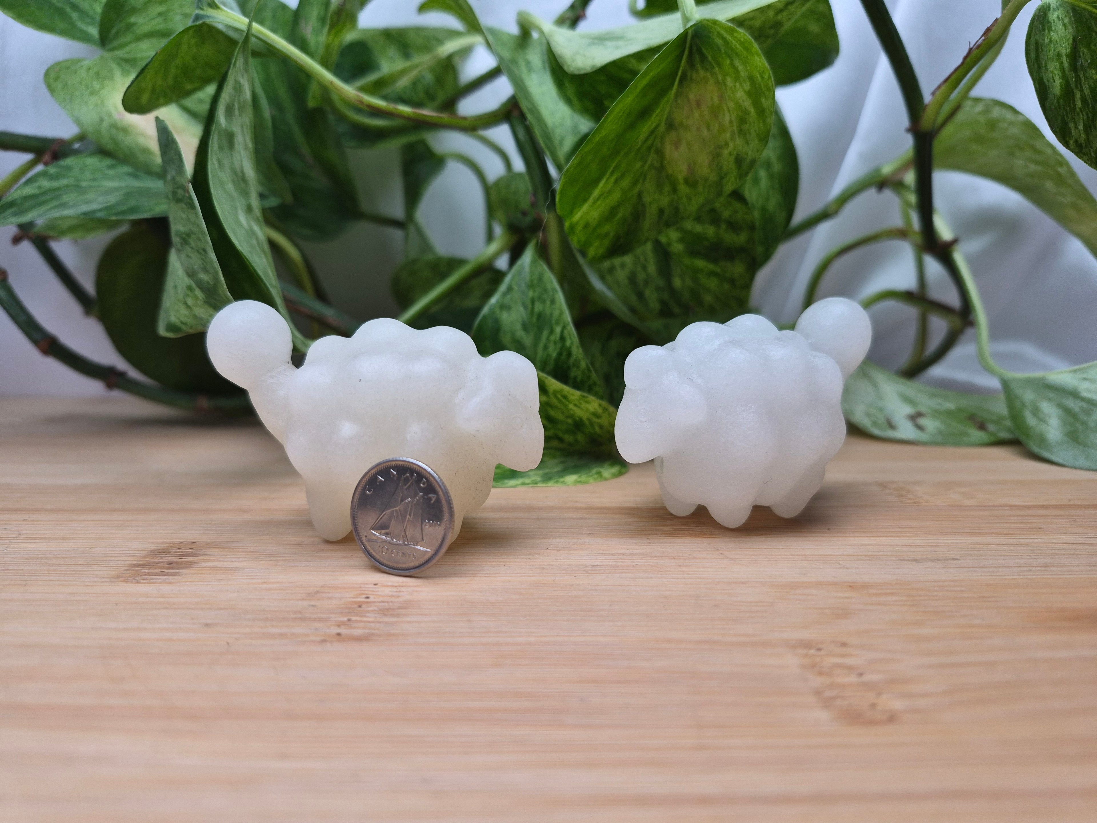 WHITE JADE MAREEP MD