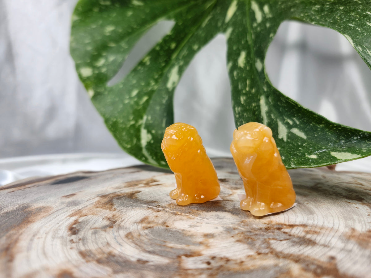 ORANGE CALCITE LION