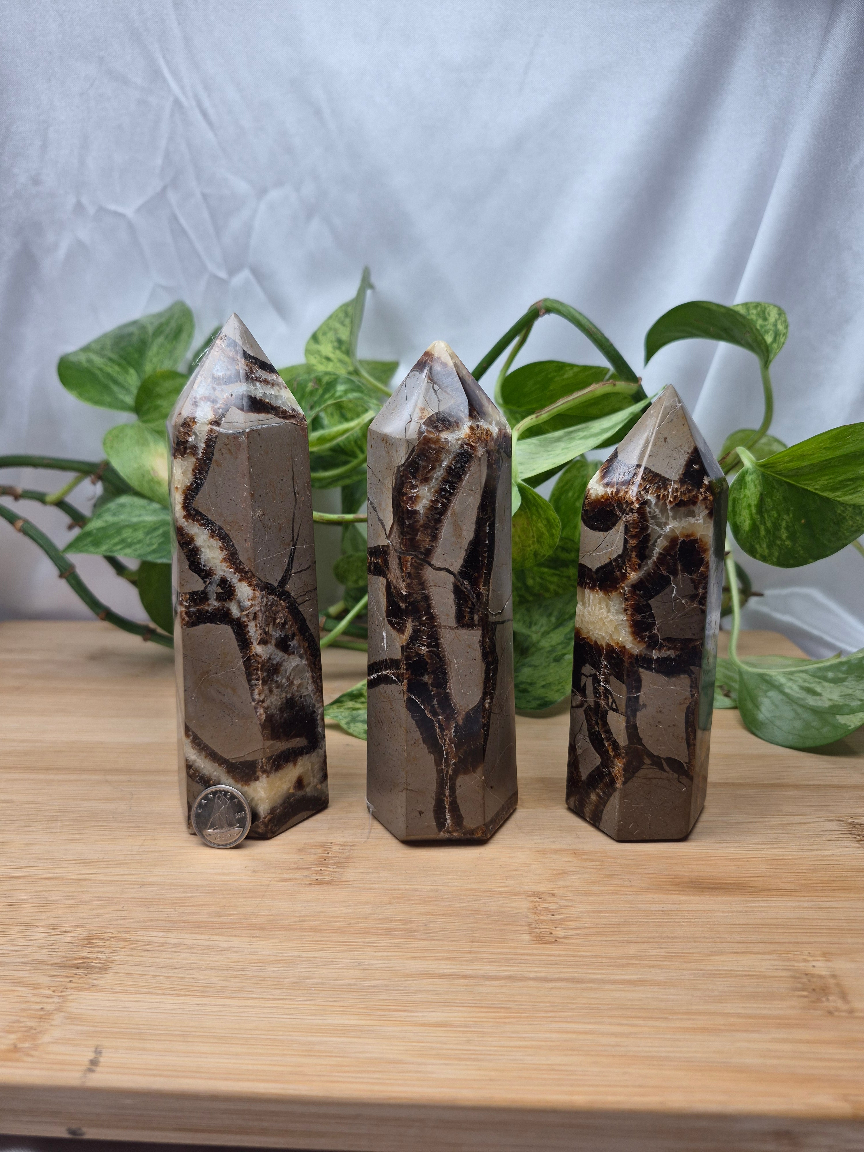 SEPTARIAN TOWER