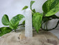 QUARTZ TOWER