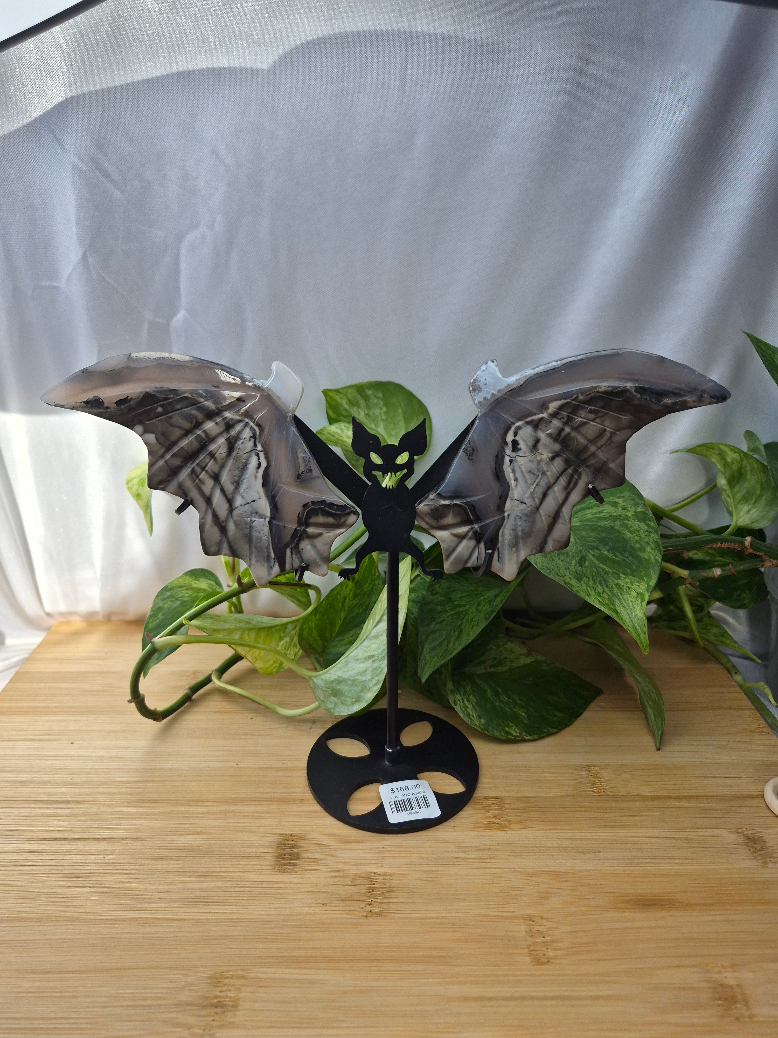 VOLCANO AGATE BAT WINGS LG