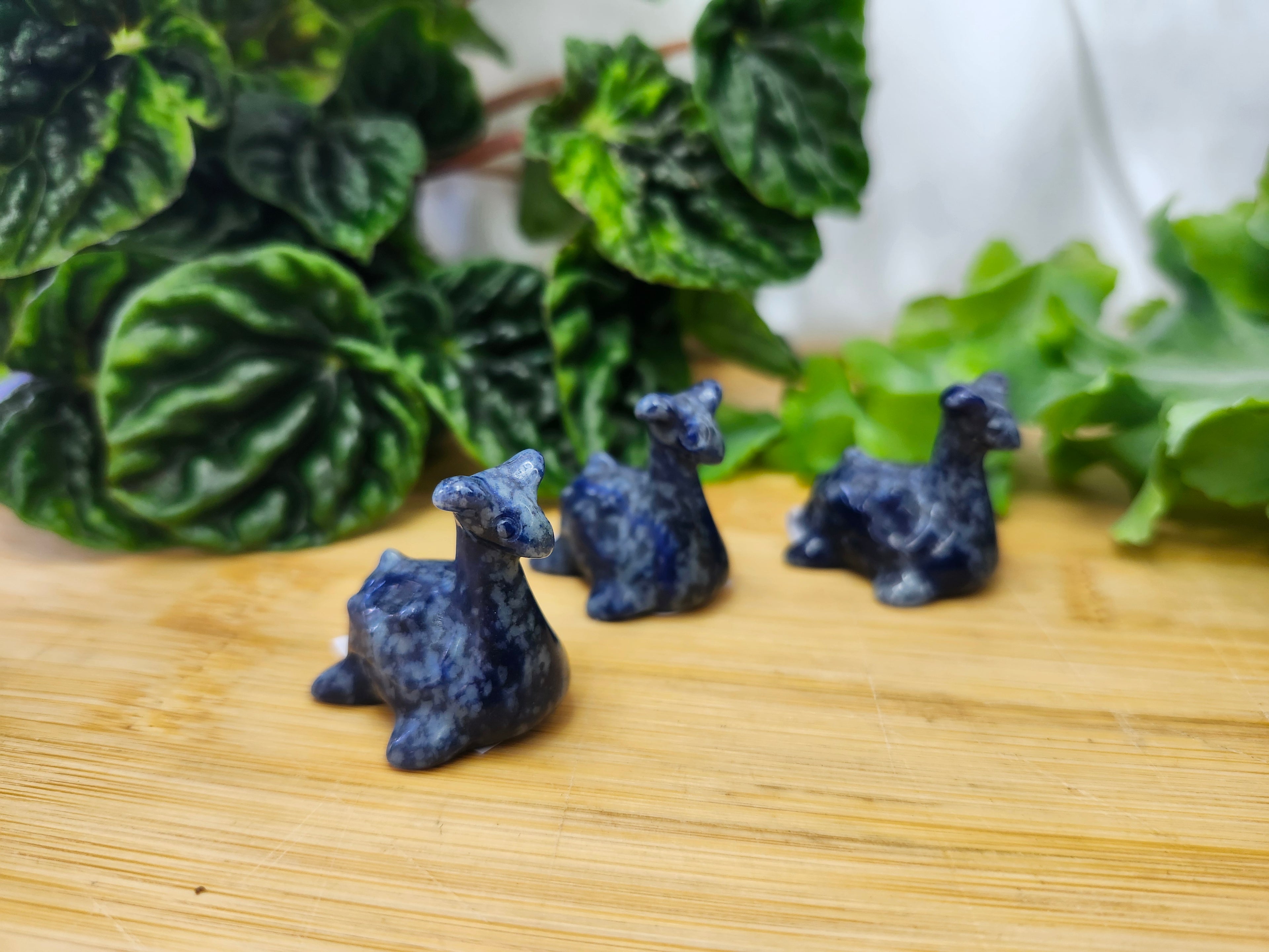 LAPIS LAZULI LAPRIS