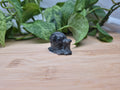 LARVIKITE GARY SNAIL
