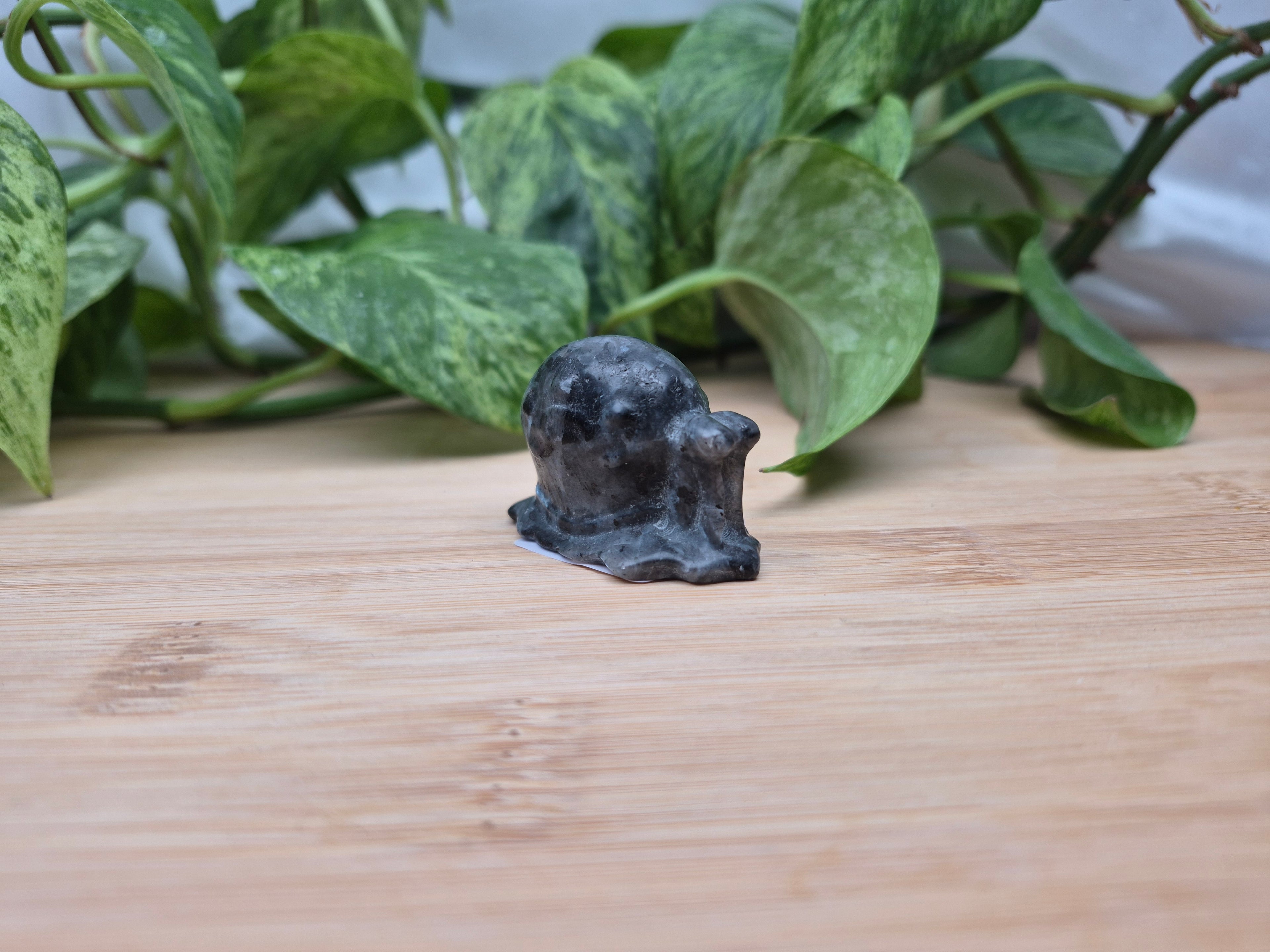 LARVIKITE GARY SNAIL