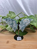 MOSS AGATE BUTTERFLY WINGS