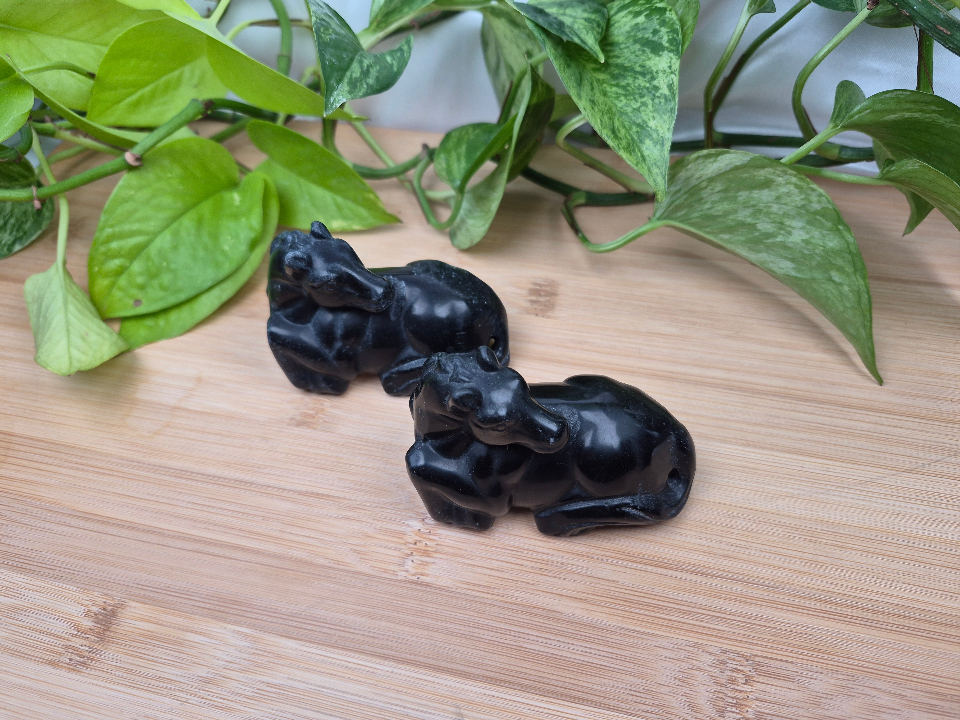 OBSIDIAN HORSE