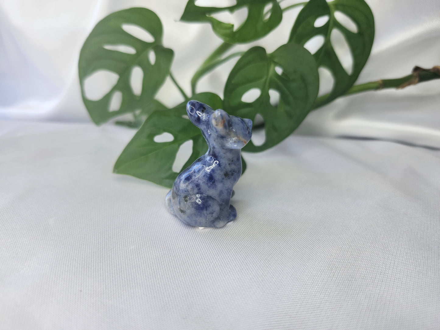 SODALITE FOX