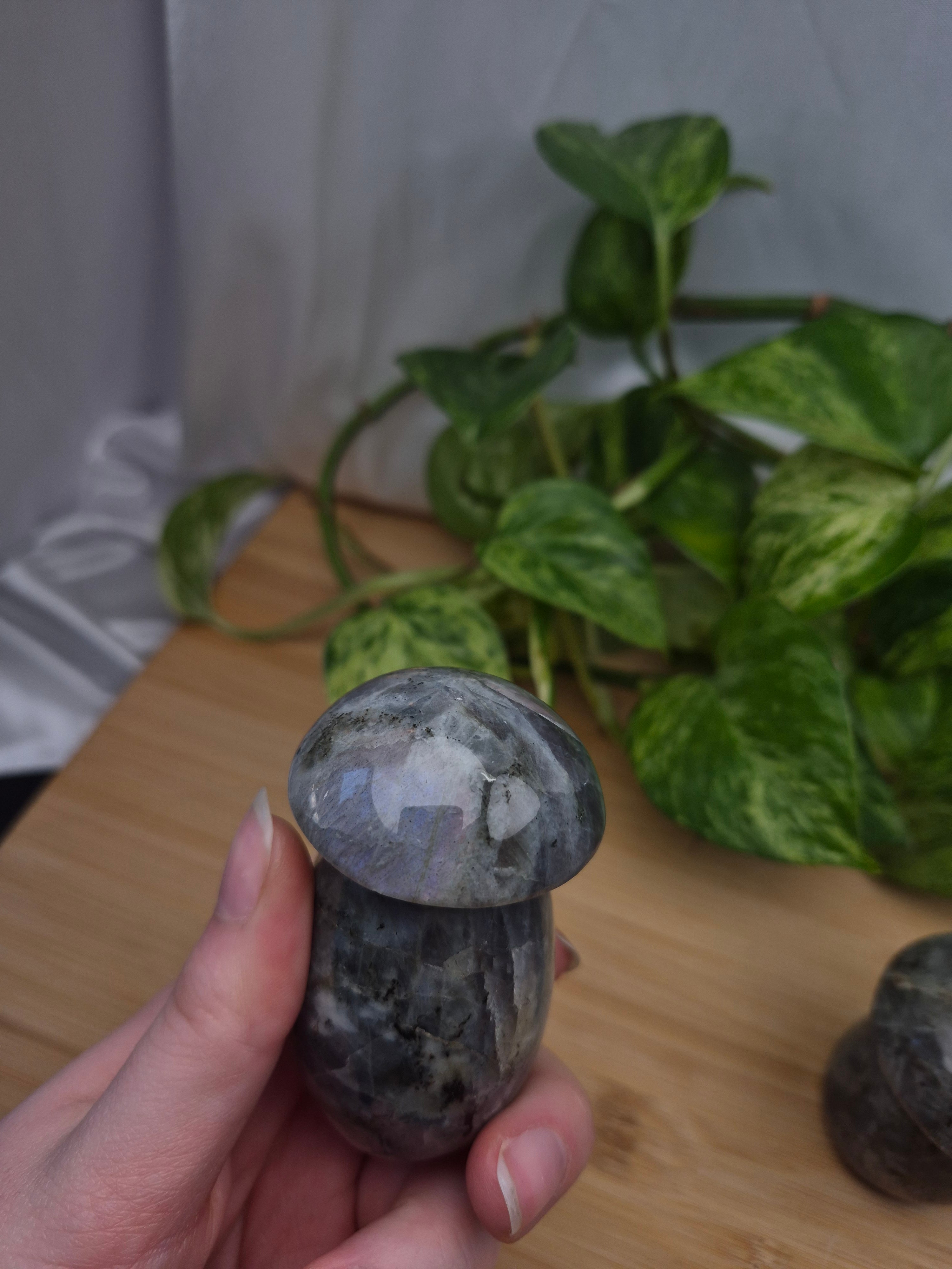 LABRADORITE MUSHROOM
