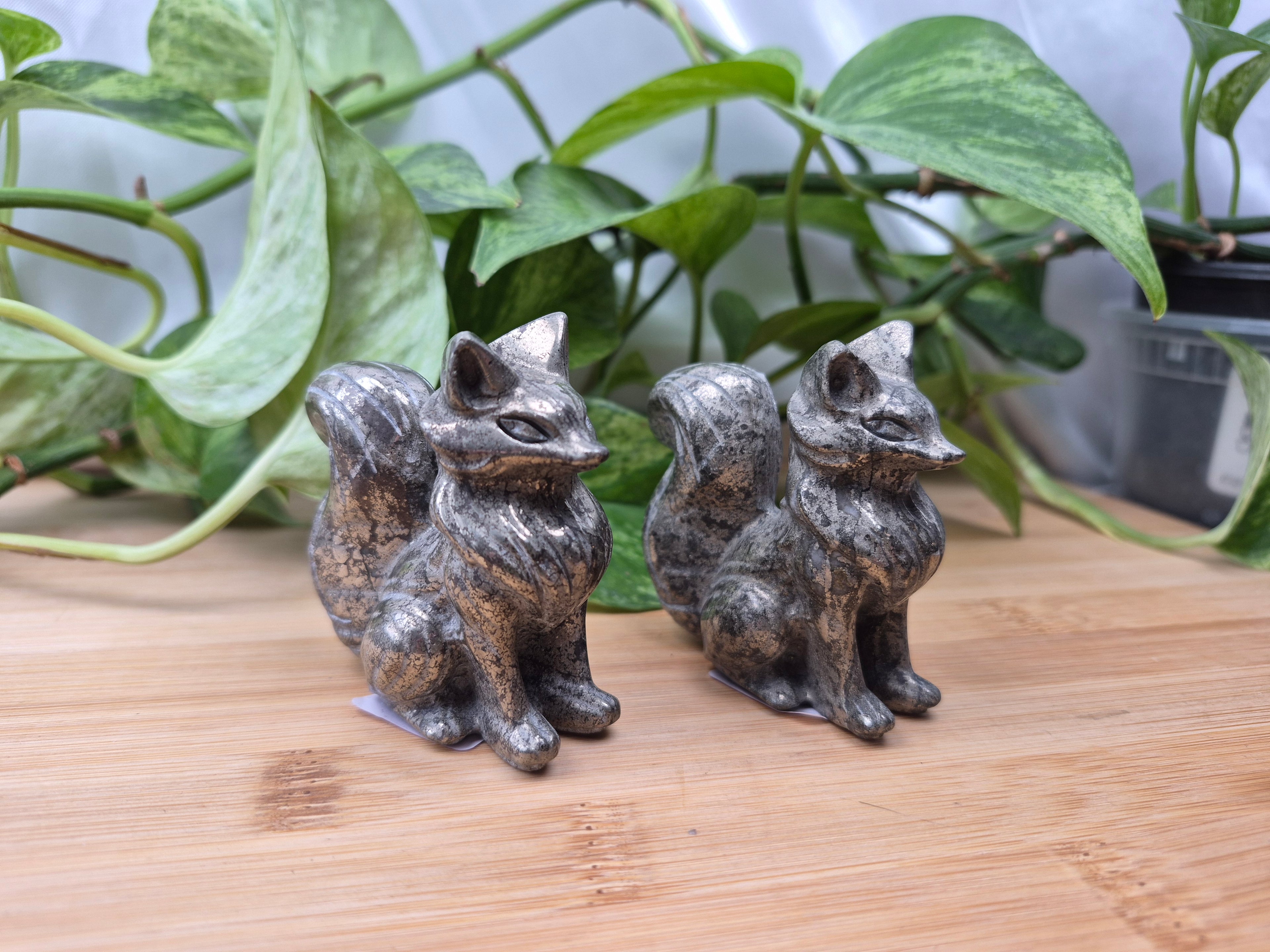 PYRITE FOX