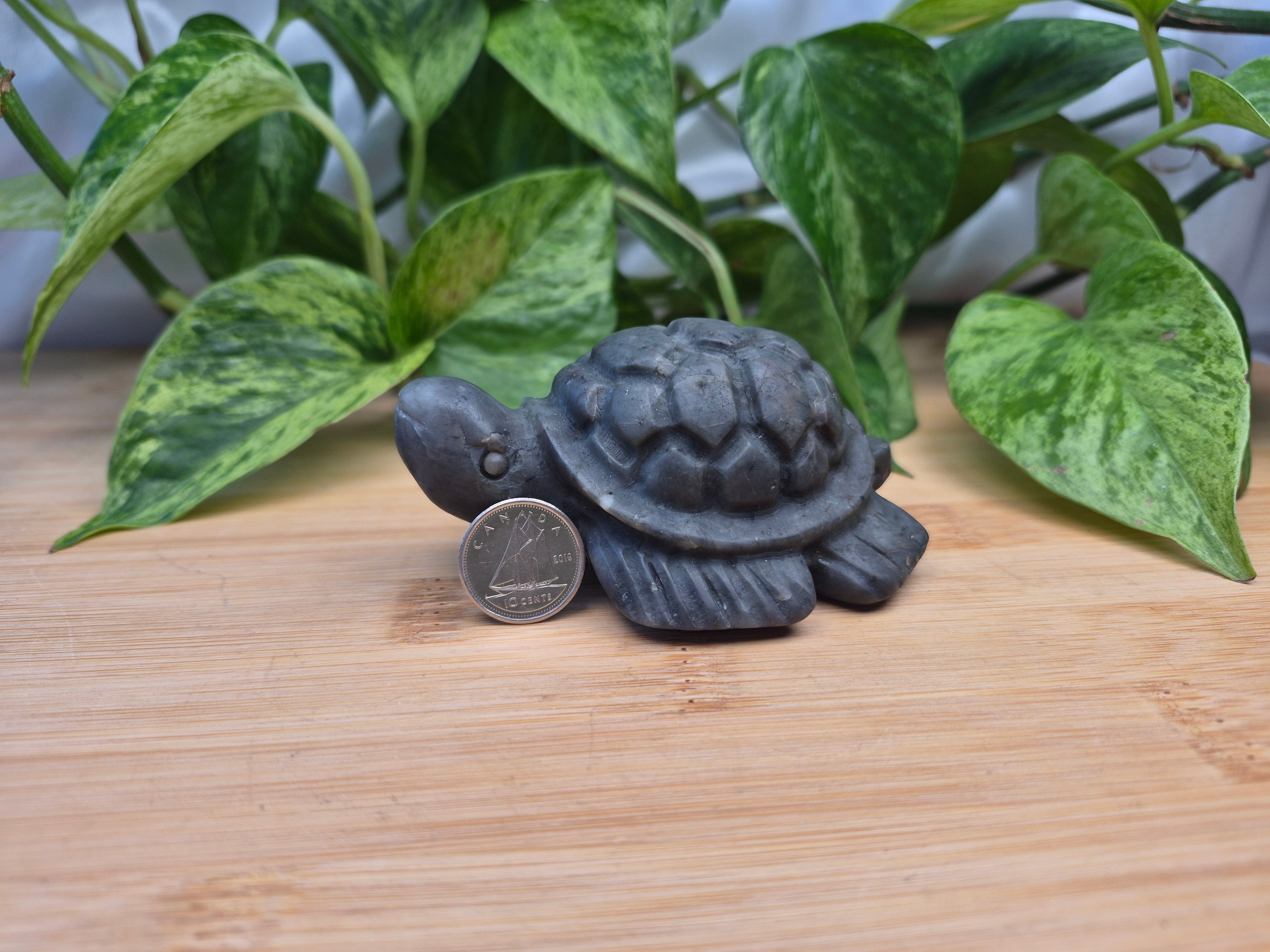 JADE TURTLE