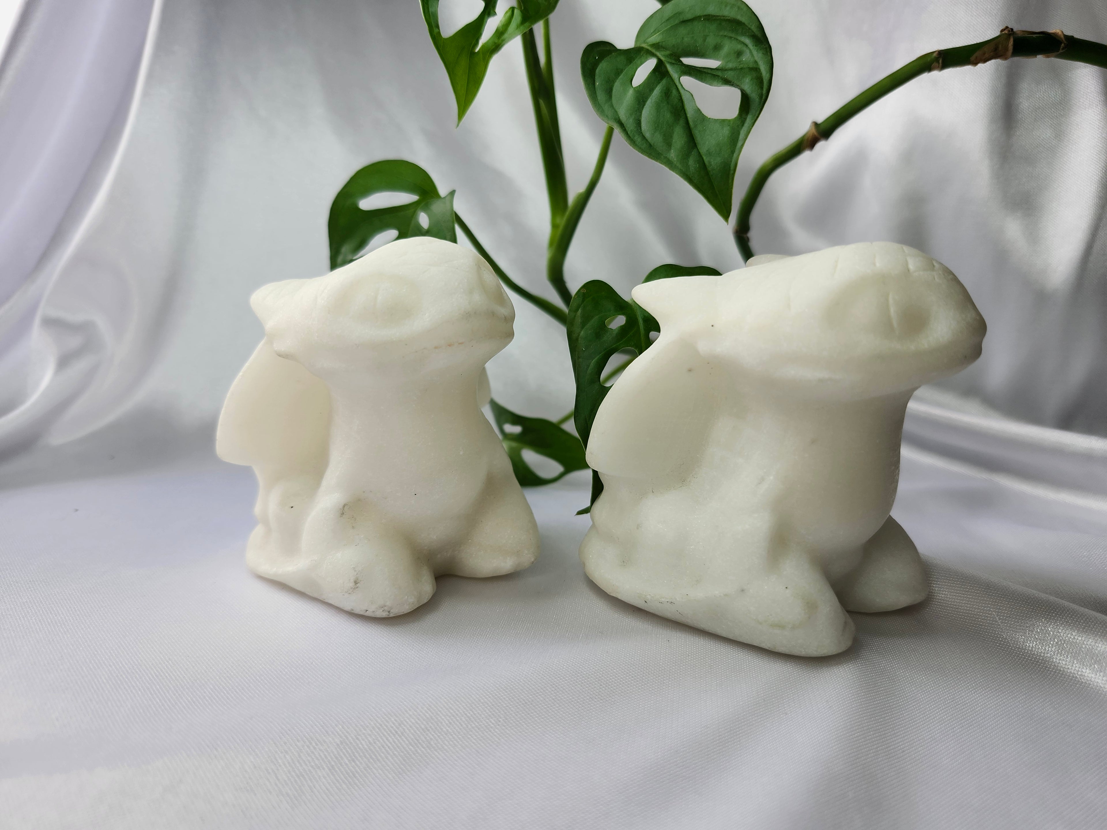 WHITE JADE XL TOOTHLESS