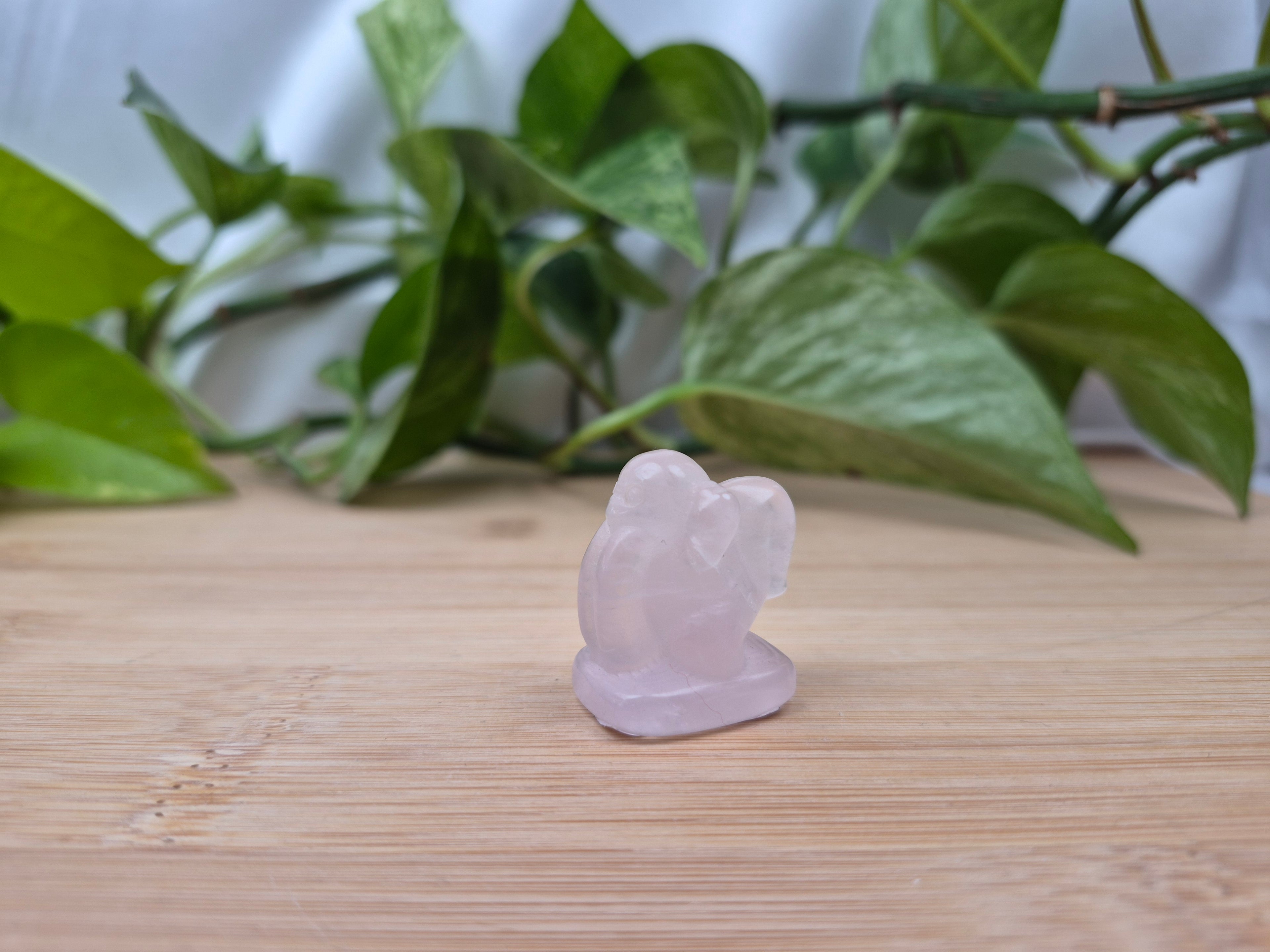 ROSE QUARTZ LICKITUNG