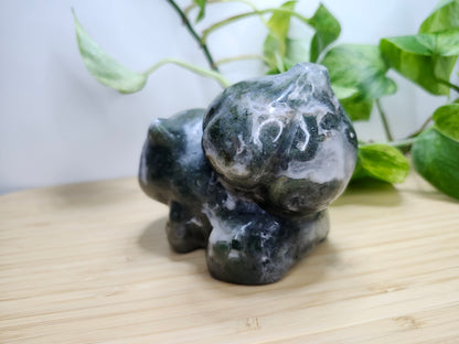 MOSS AGATE XL BULBASAUR (A)
