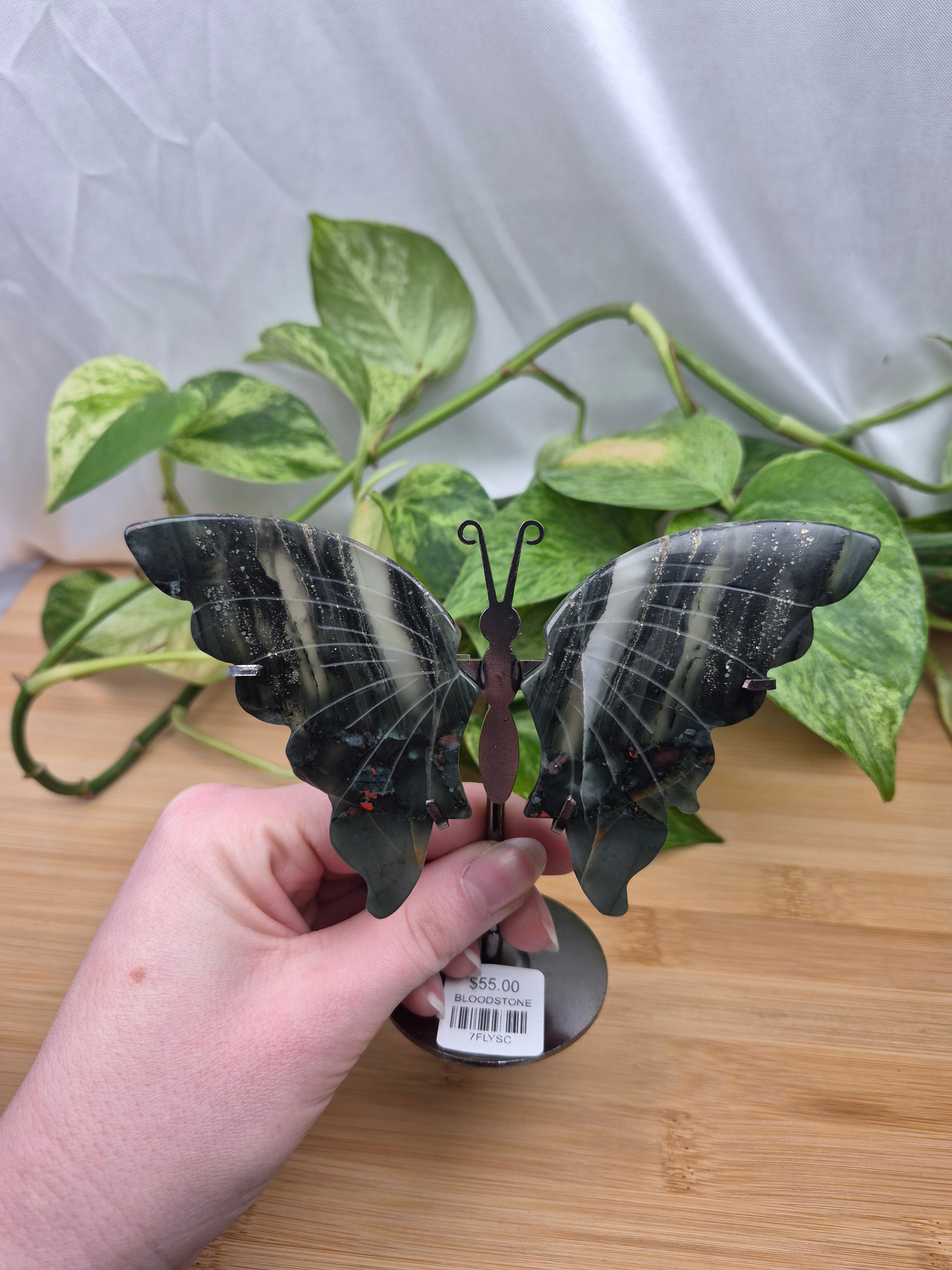 BLOODSTONE BUTTERFLY WINGS