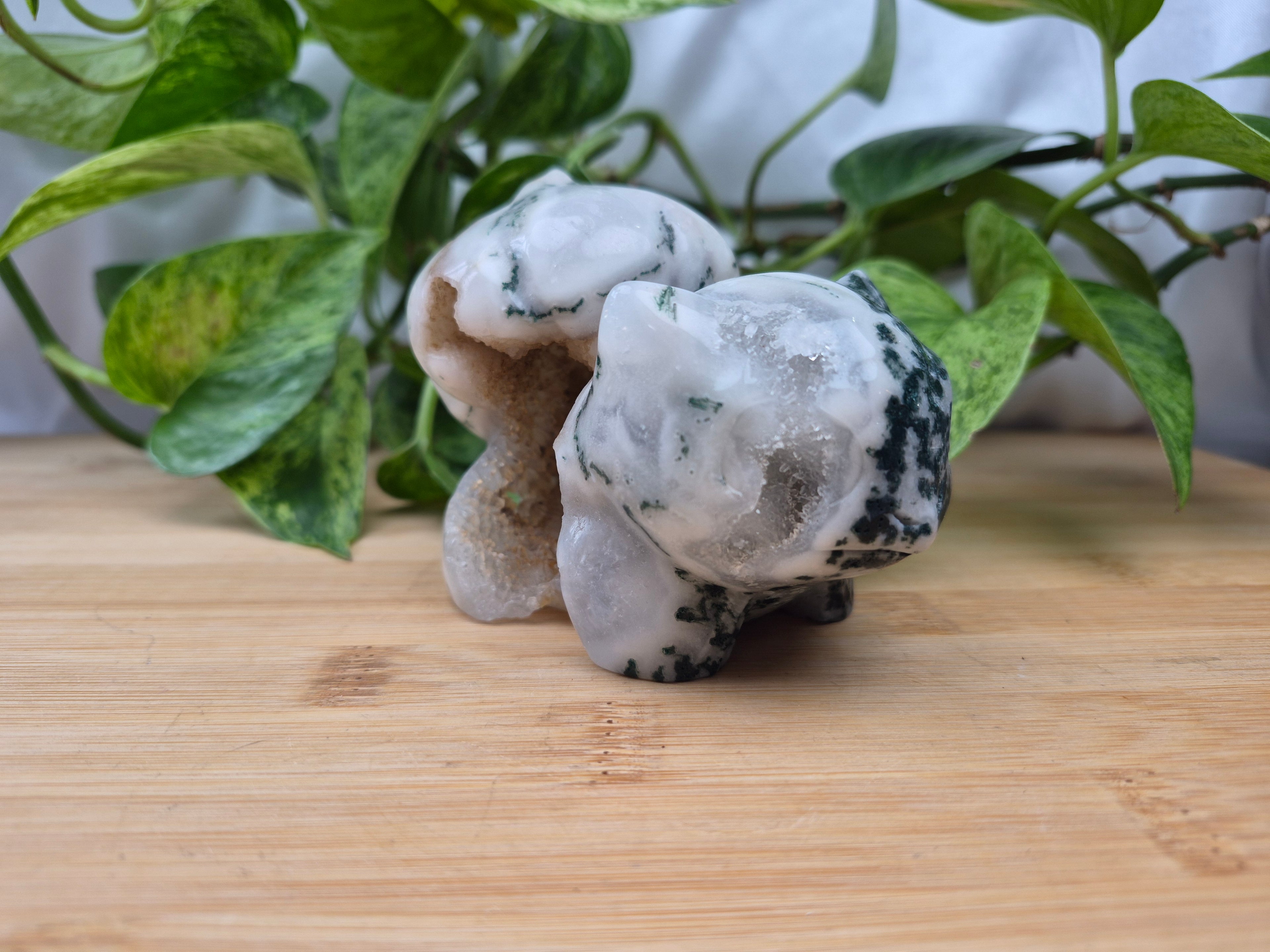 MOSS AGATE BULBASAUR XL
