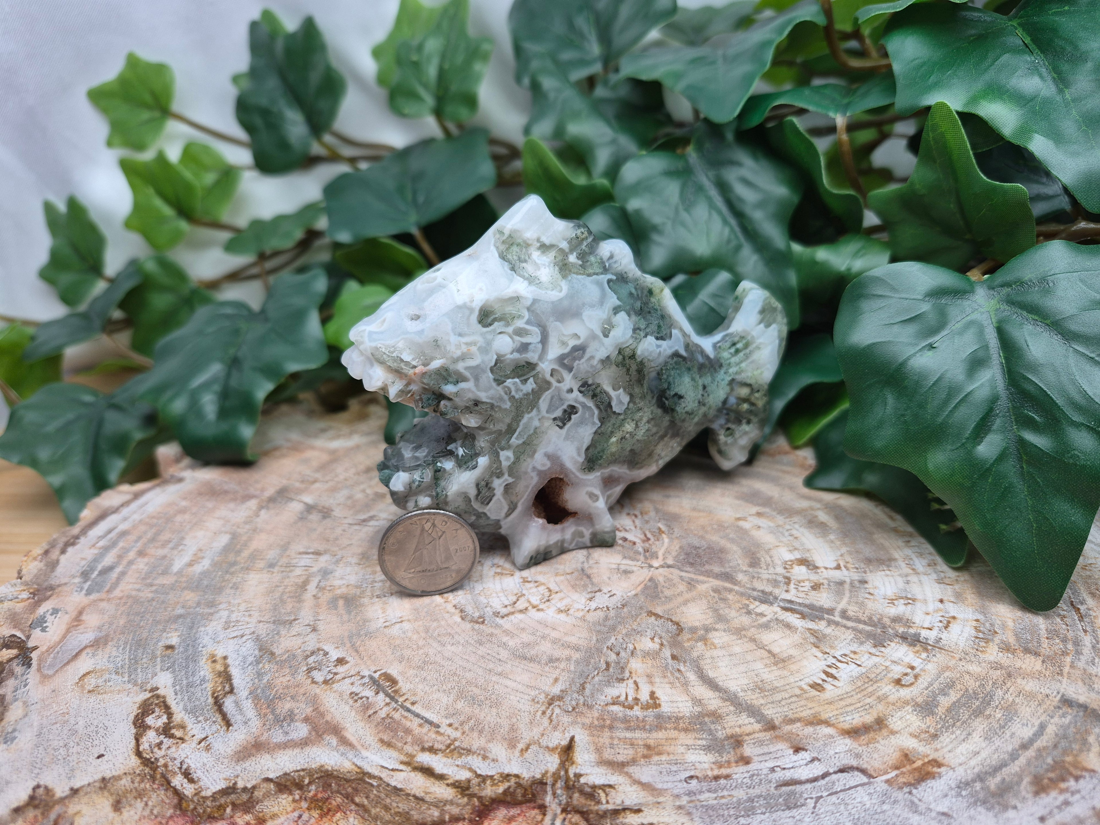MOSS AGATE ANGLER FISH