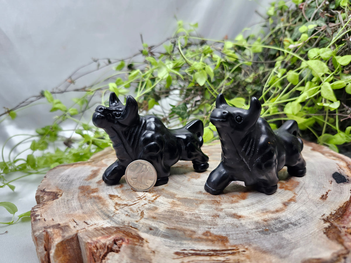 BLACK OBSIDIAN BULL