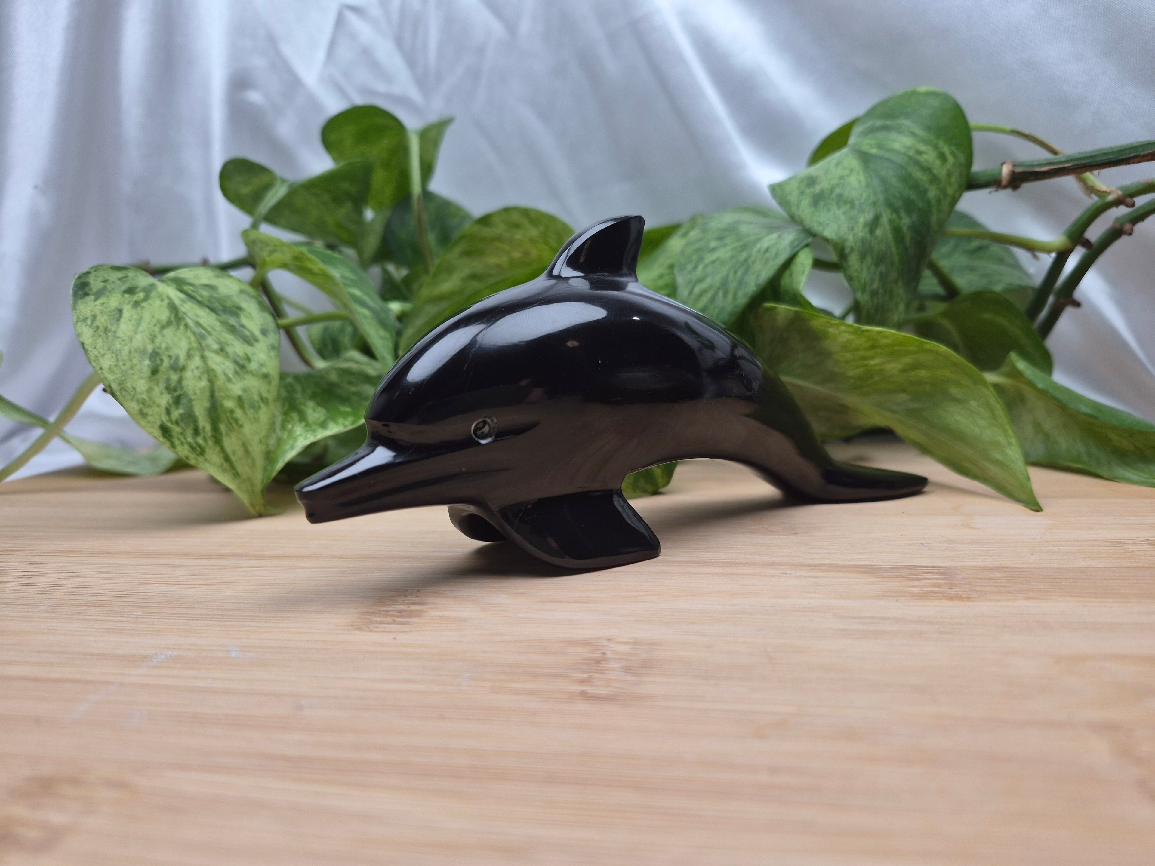 OBSIDIAN DOLPHIN