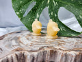 ORANGE CALCITE PSYDUCK