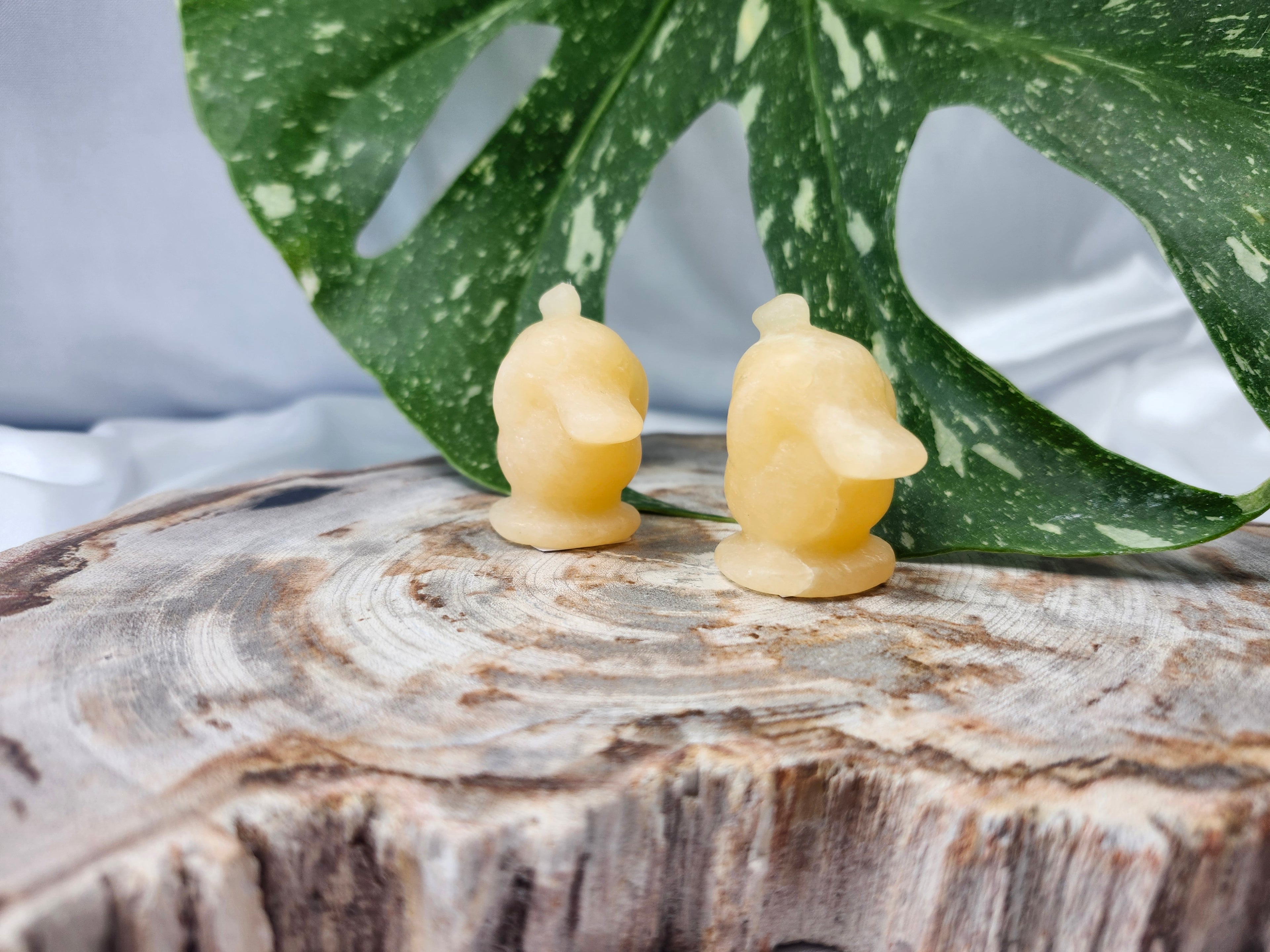 ORANGE CALCITE PSYDUCK