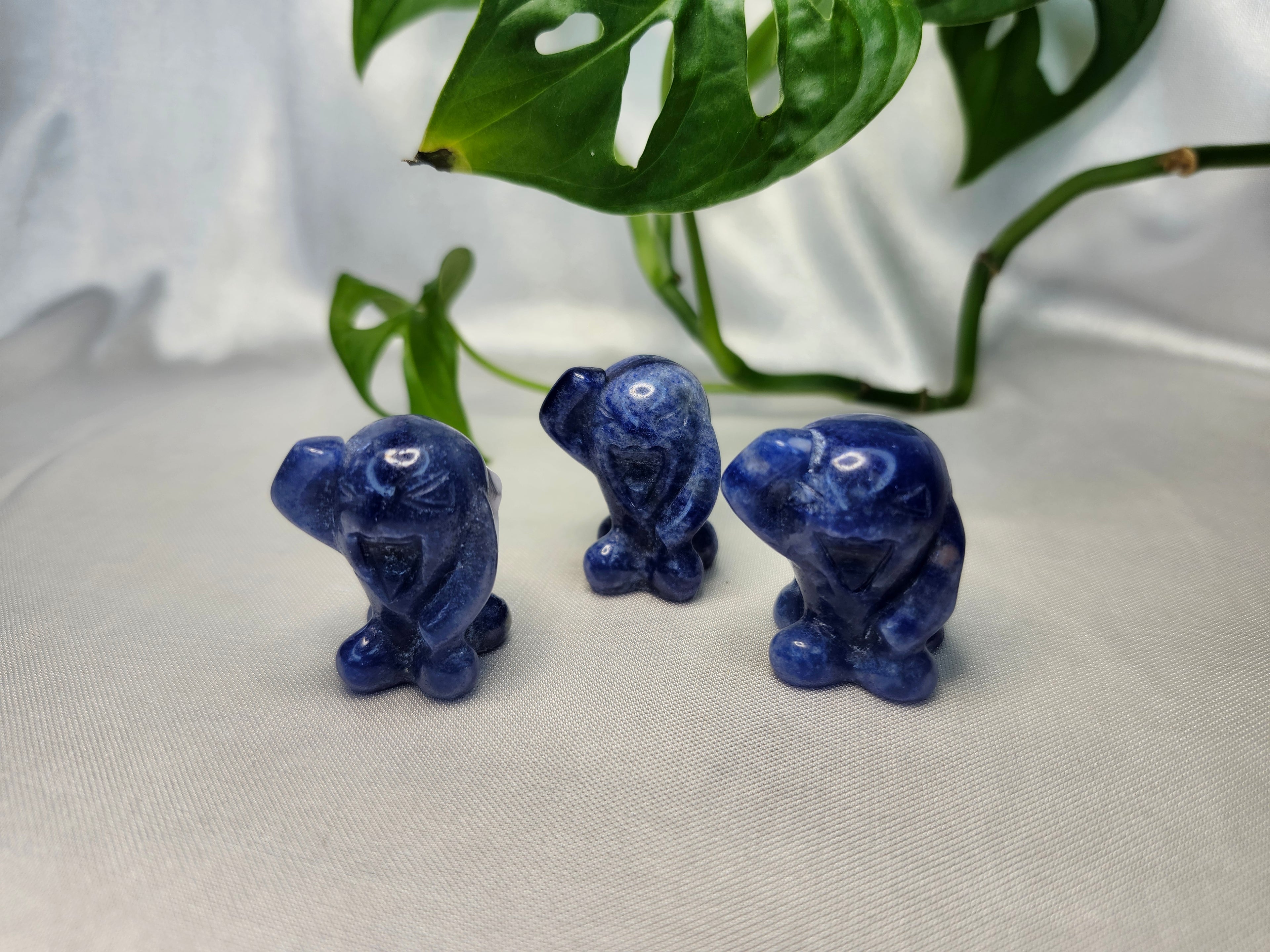 BLUE AVENTURINE WOBBUFFET