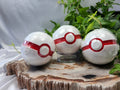 MYSTERY PREMIER POKEBALL