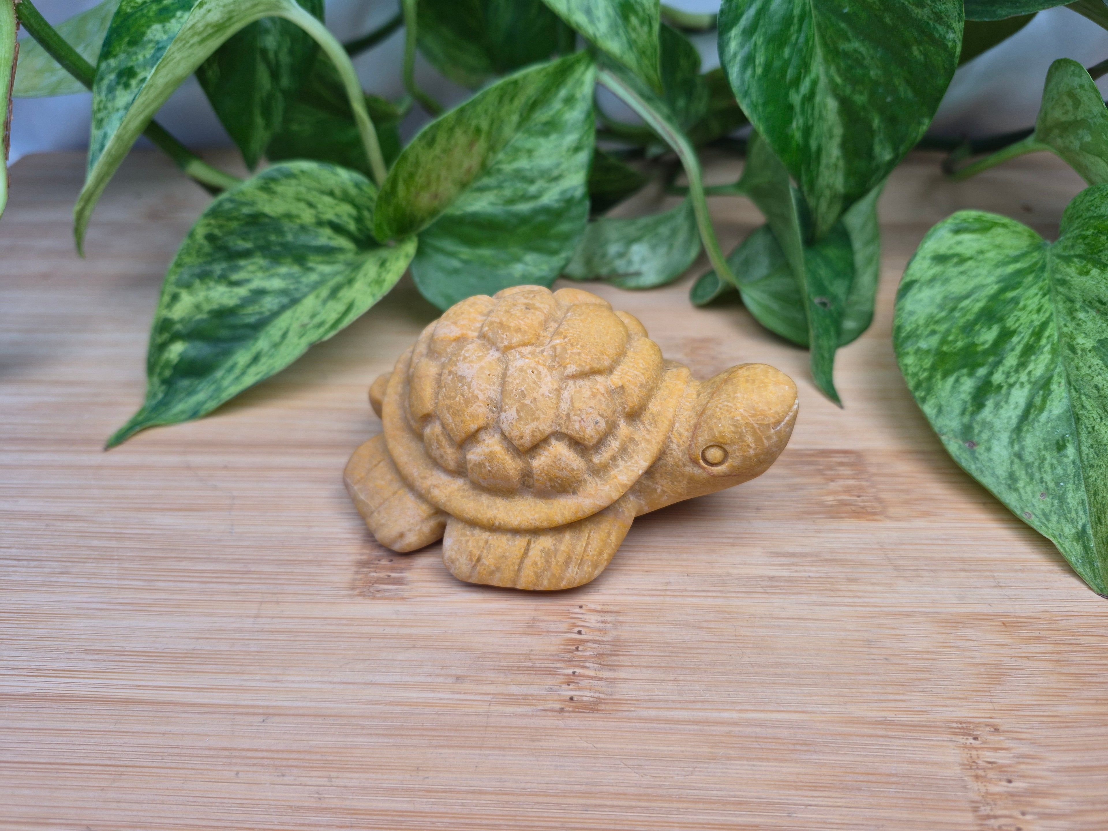 YELLOW JASPER TURTLE