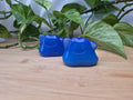 BLUE OPALITE DITTO LG