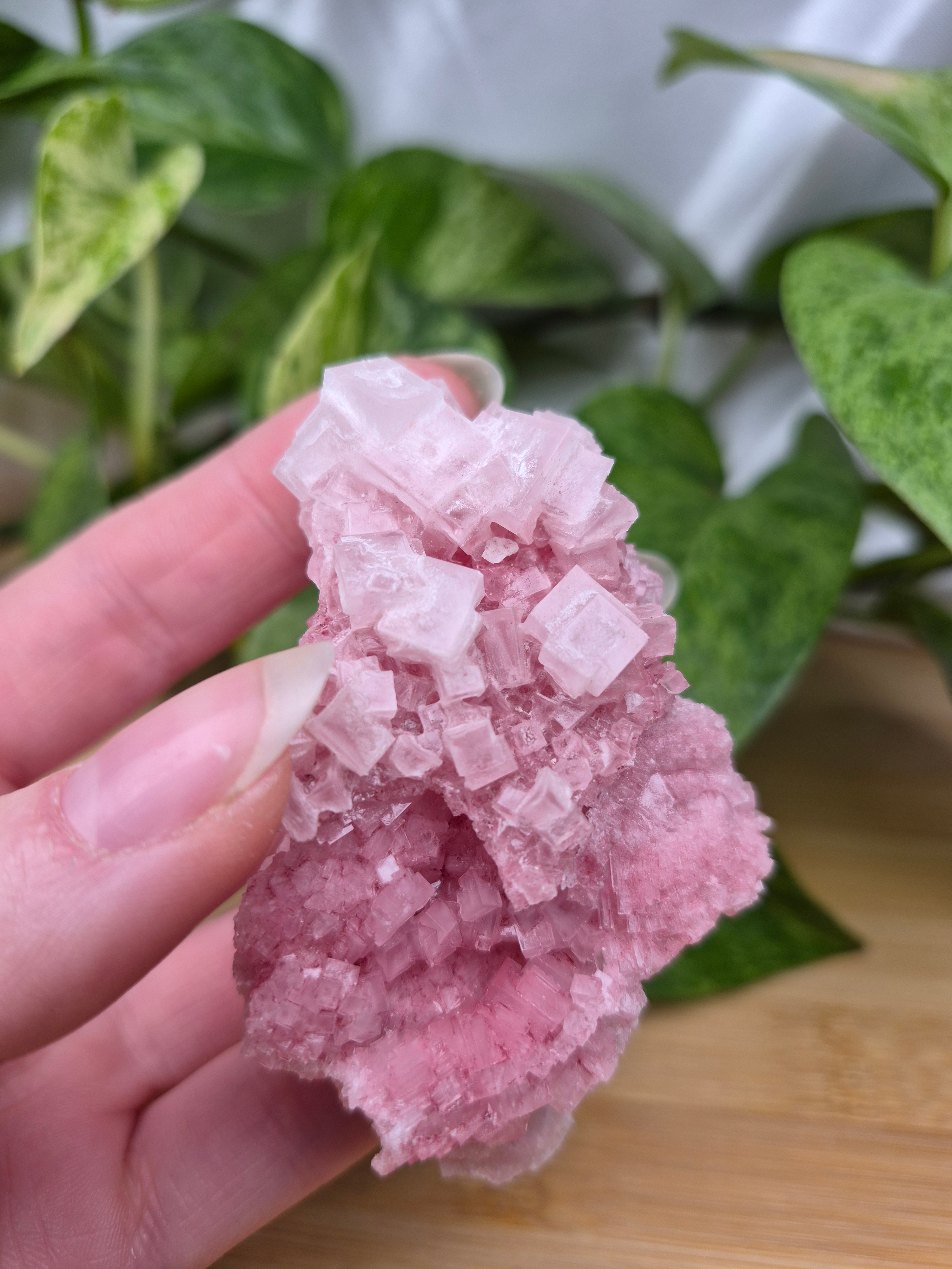 PINK HALITE SPECIMEN