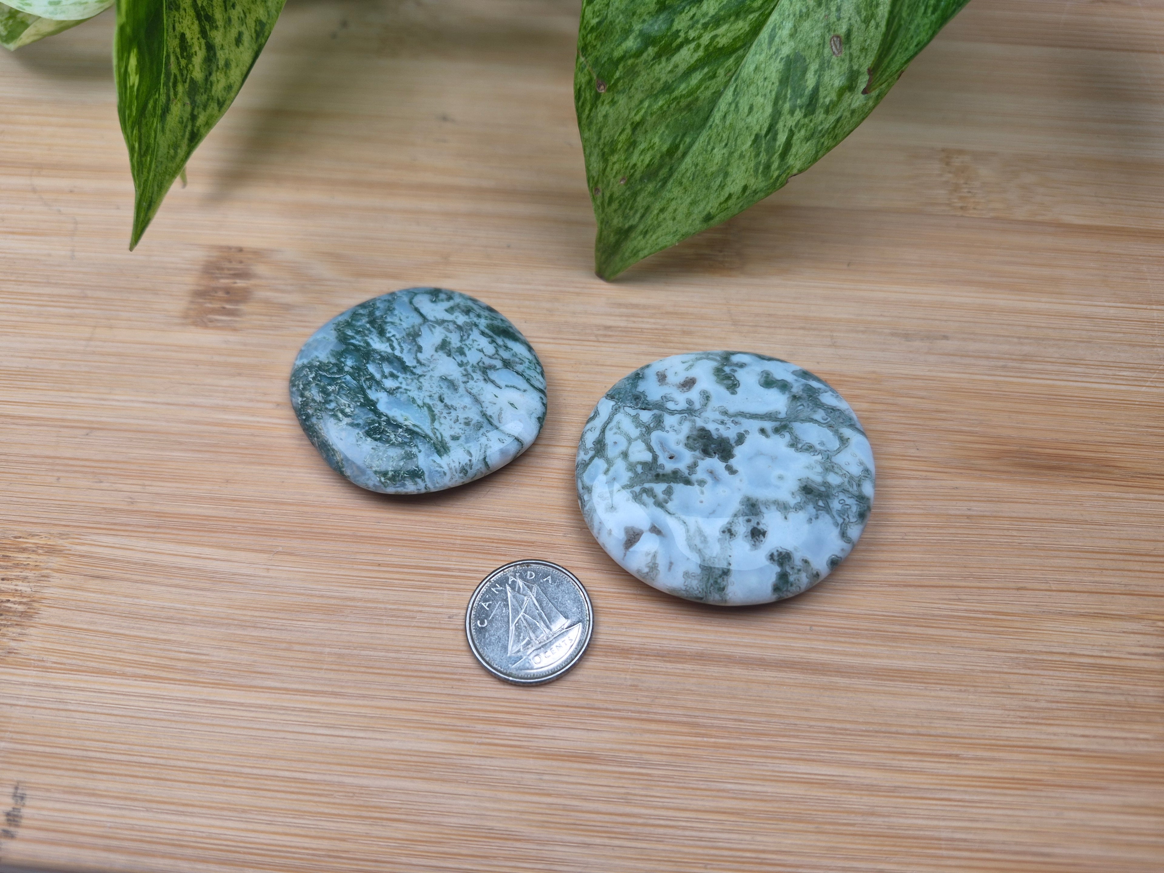 MOSS AGATE FLAT STONE