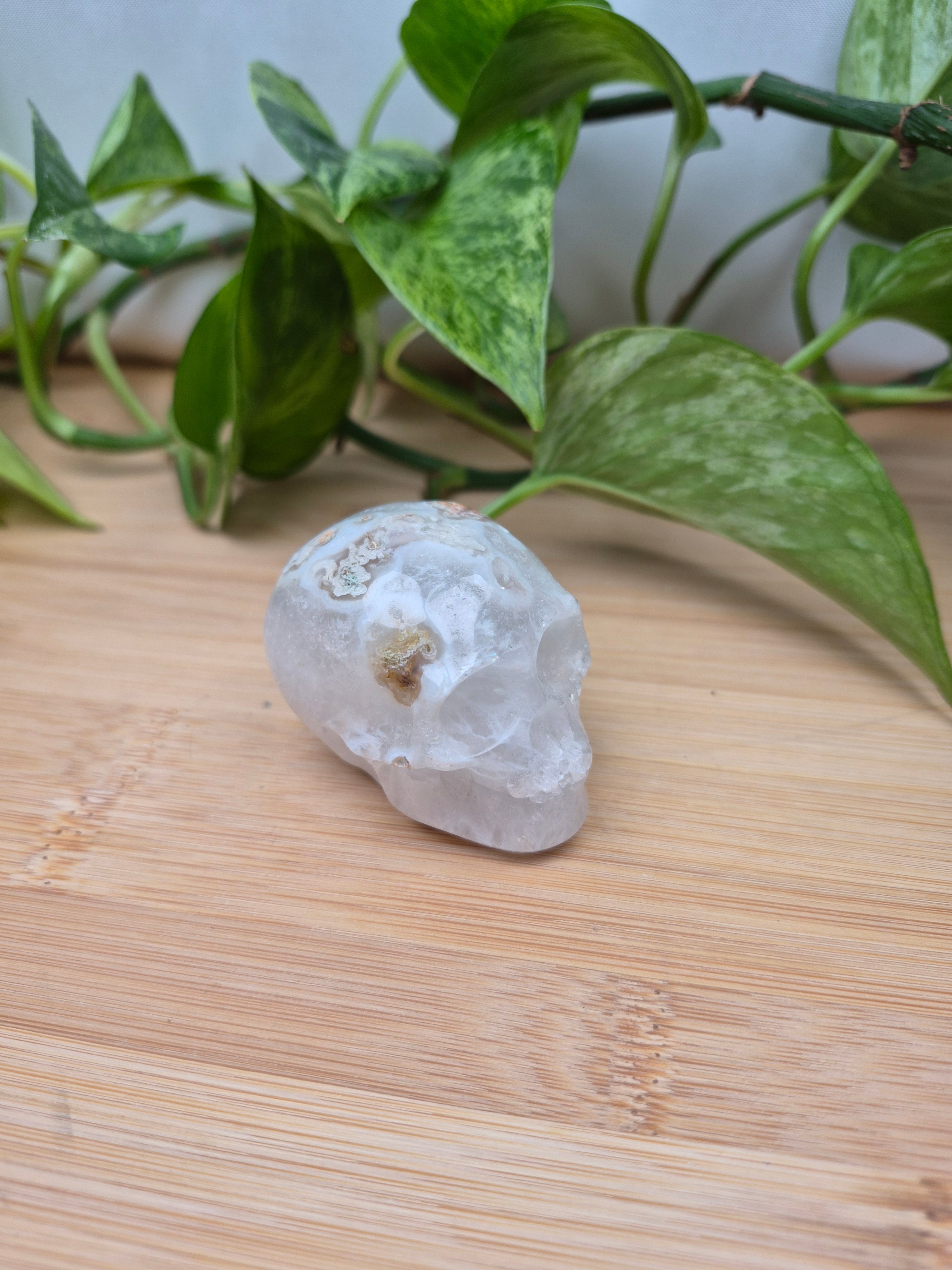 MOSS AGATE SKULL MD