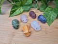 MIXED CRYSTAL HAMSTER