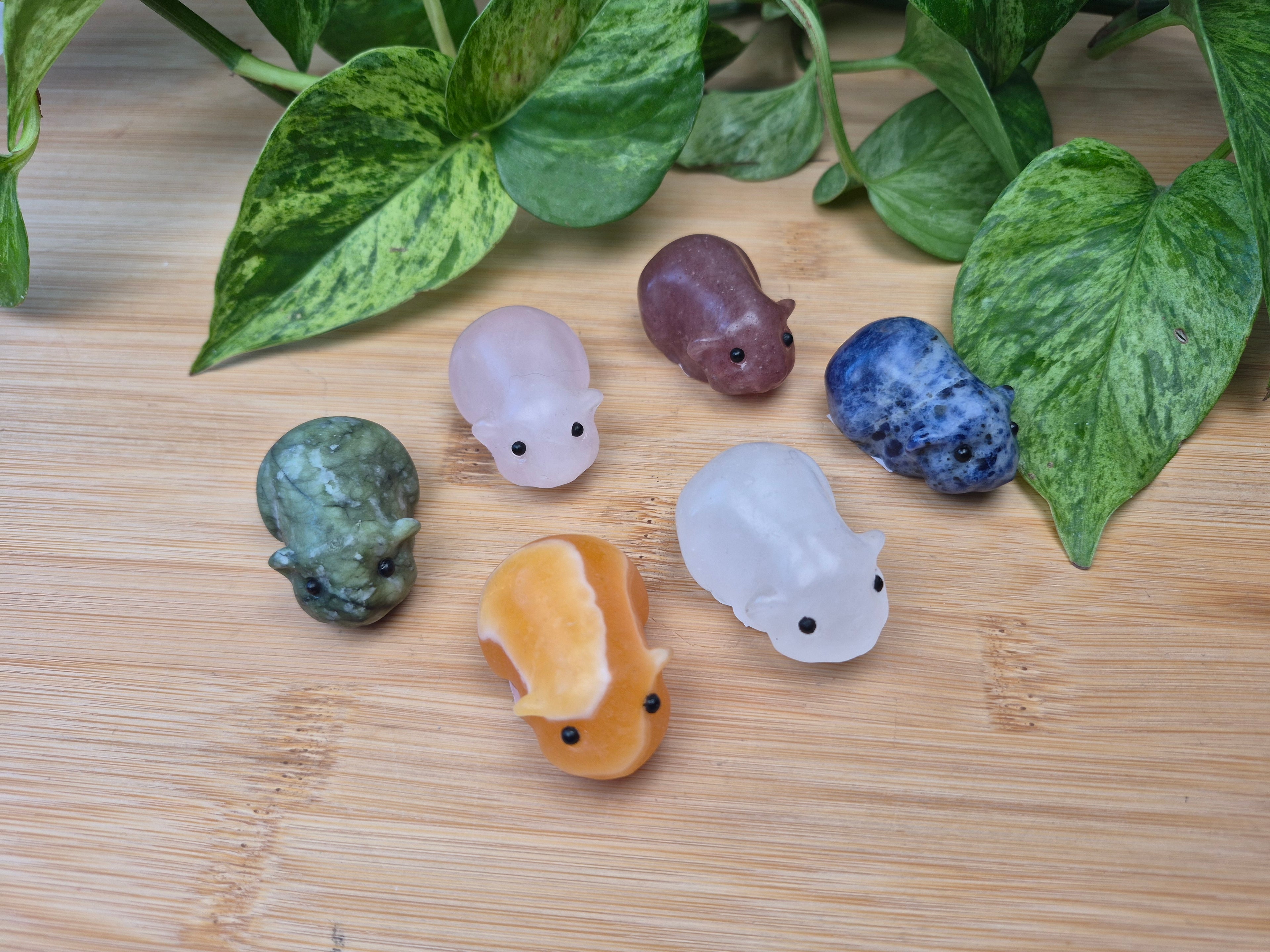 MIXED CRYSTAL HAMSTER