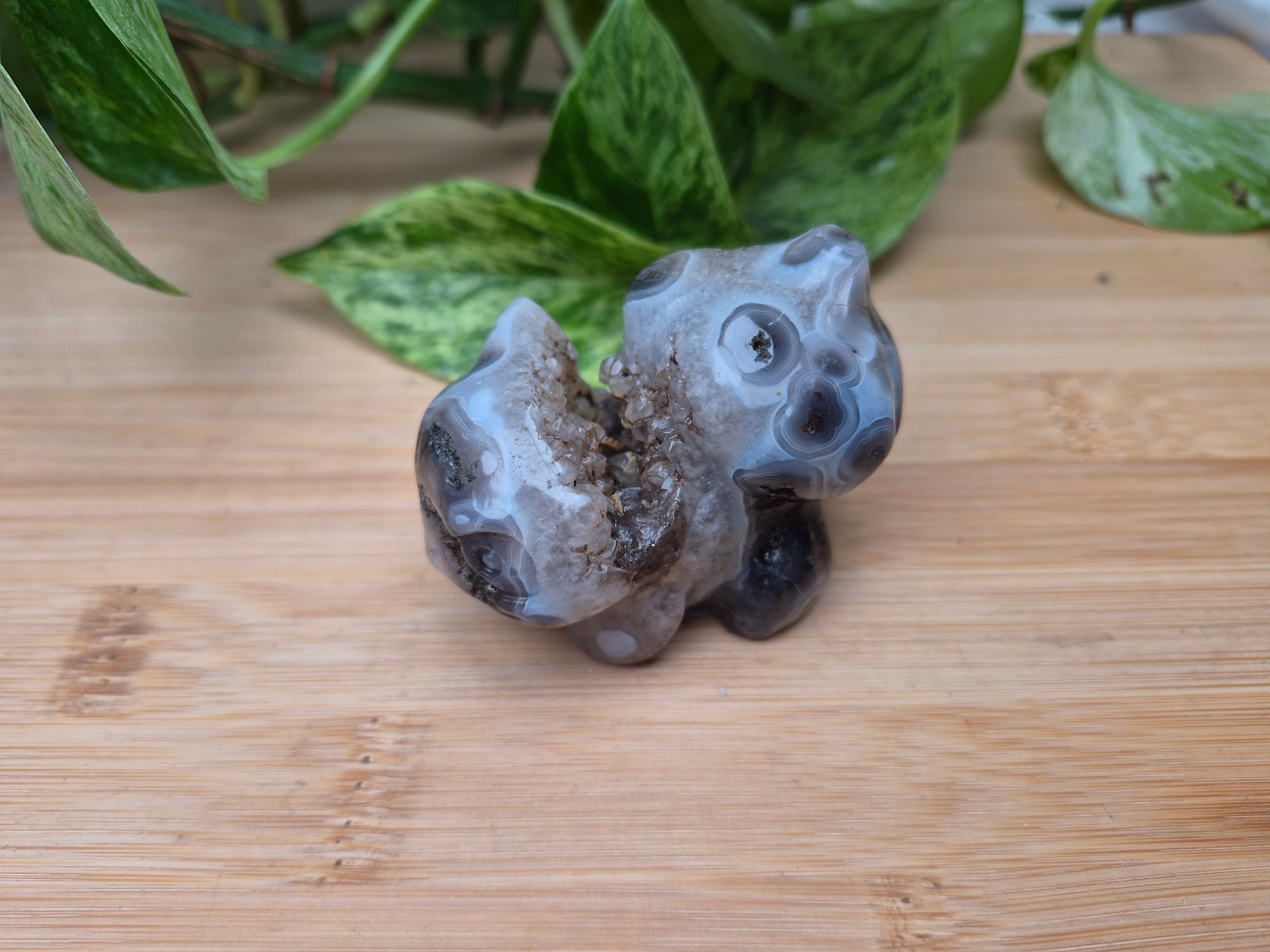 MOSS AGATE BULBASAUR MD