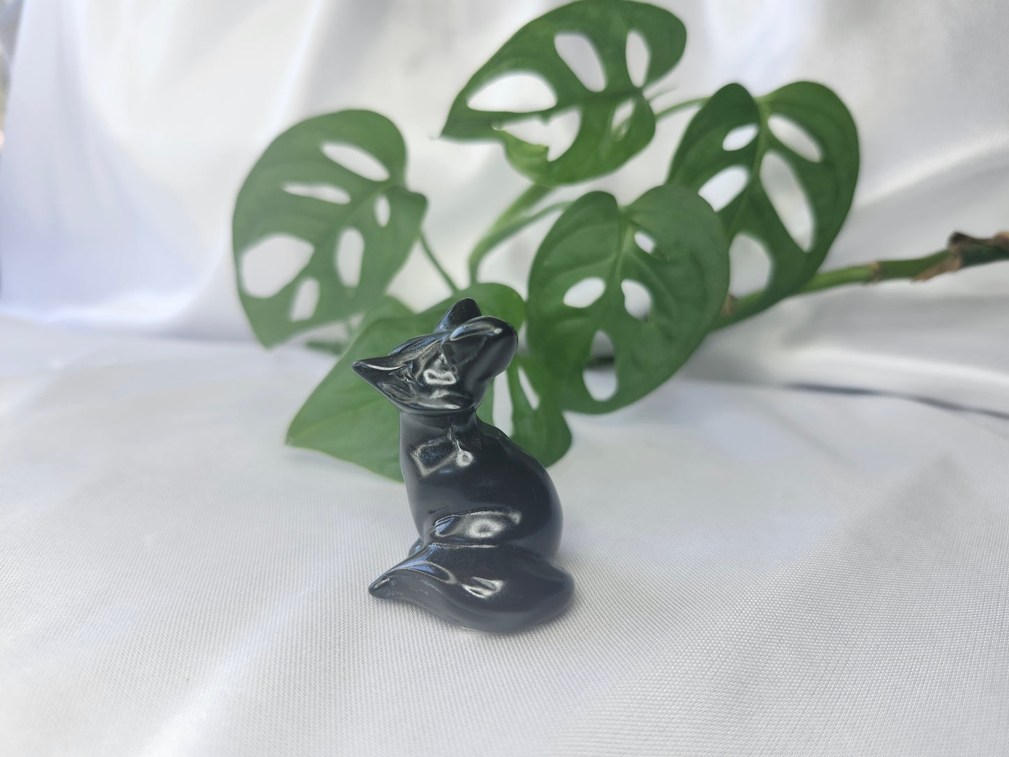 OBSIDIAN FOX