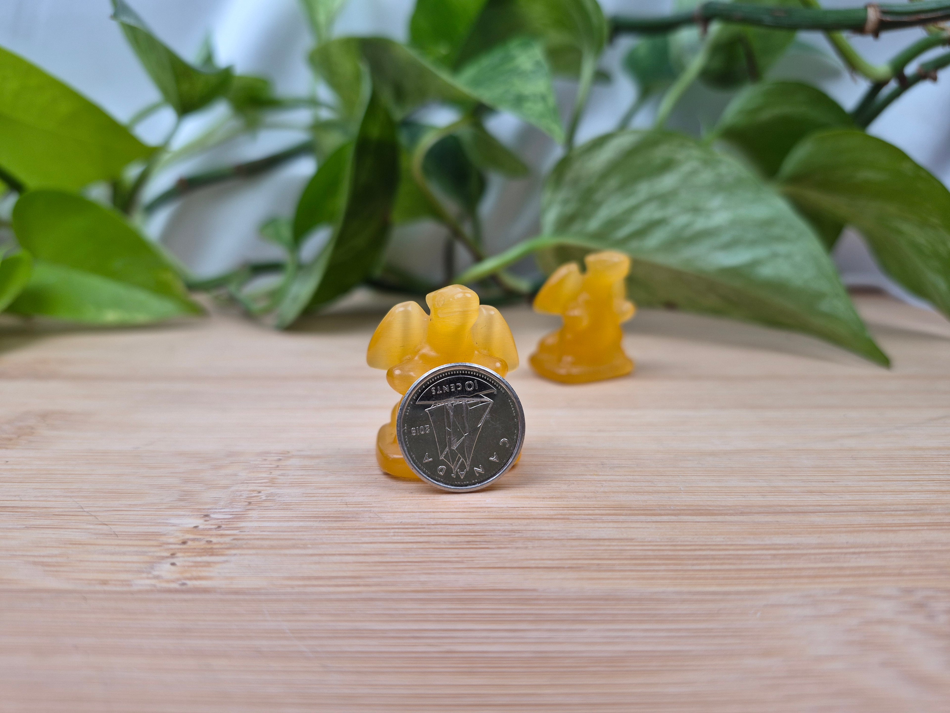 ORANGE CATS EYE CHARIZARD
